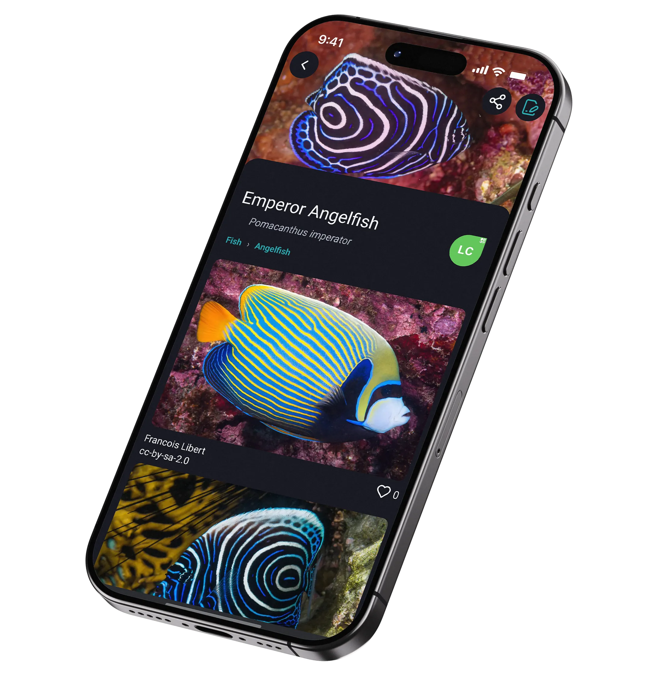 Species records improve with the community.